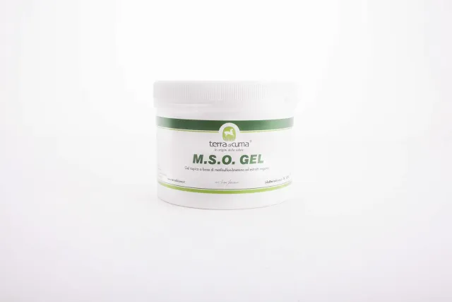 Terra Di Cuma MSO gel cavalli 500 g riscaldante