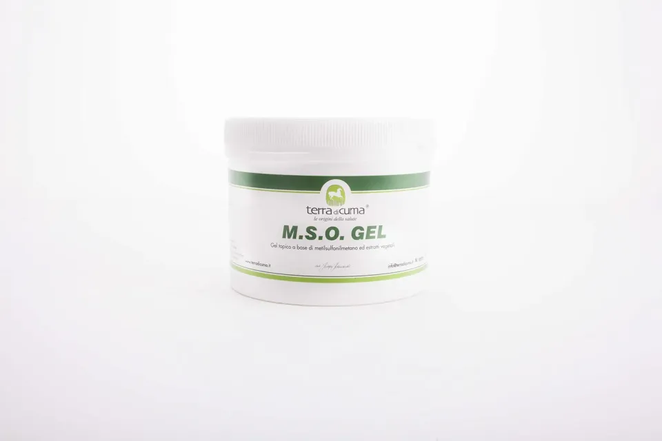 Terra Di Cuma MSO gel cavalli 500 g riscaldante