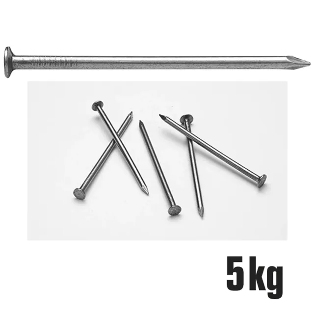 Beikircher Grünland chiodi testa piatta 5 kg ferro