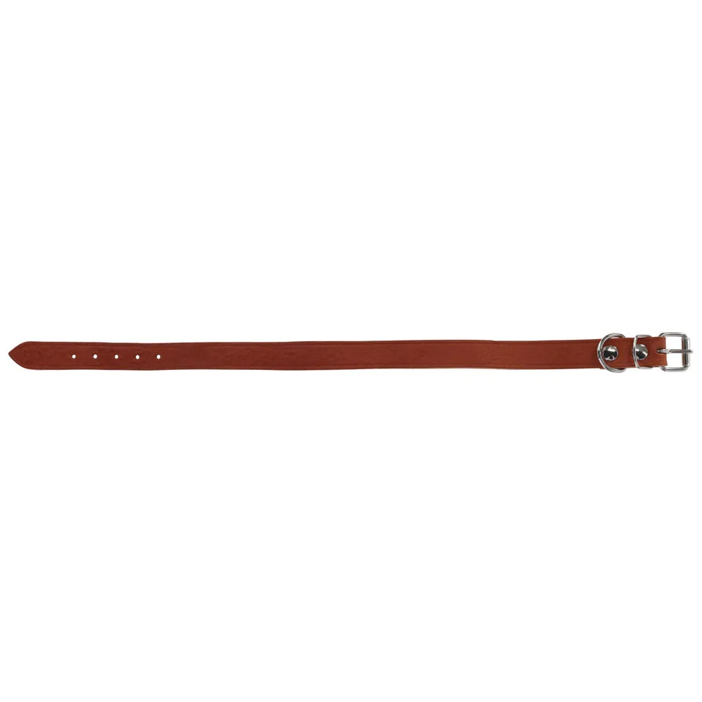 Beikircher Grünland Tuscany collare cane pelle naturale marrone 20 mm