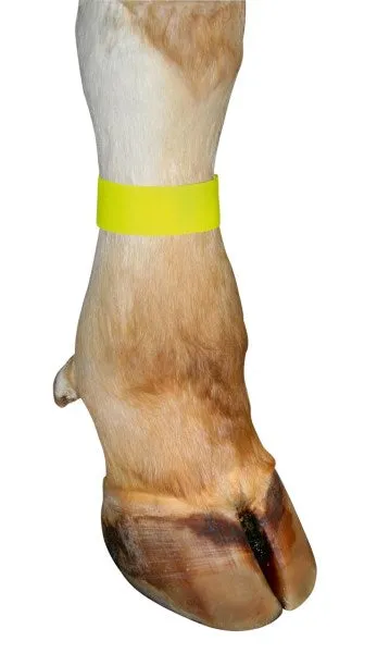 Beikircher Grünland nastro segnalazione velcro giallo 36 cm per mucche