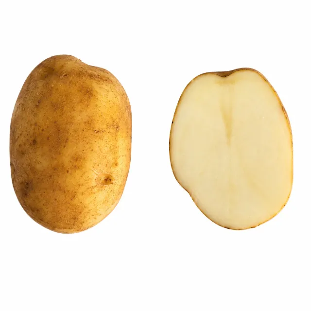 Beikircher Grünland Kennebec patate da semina 25 kg