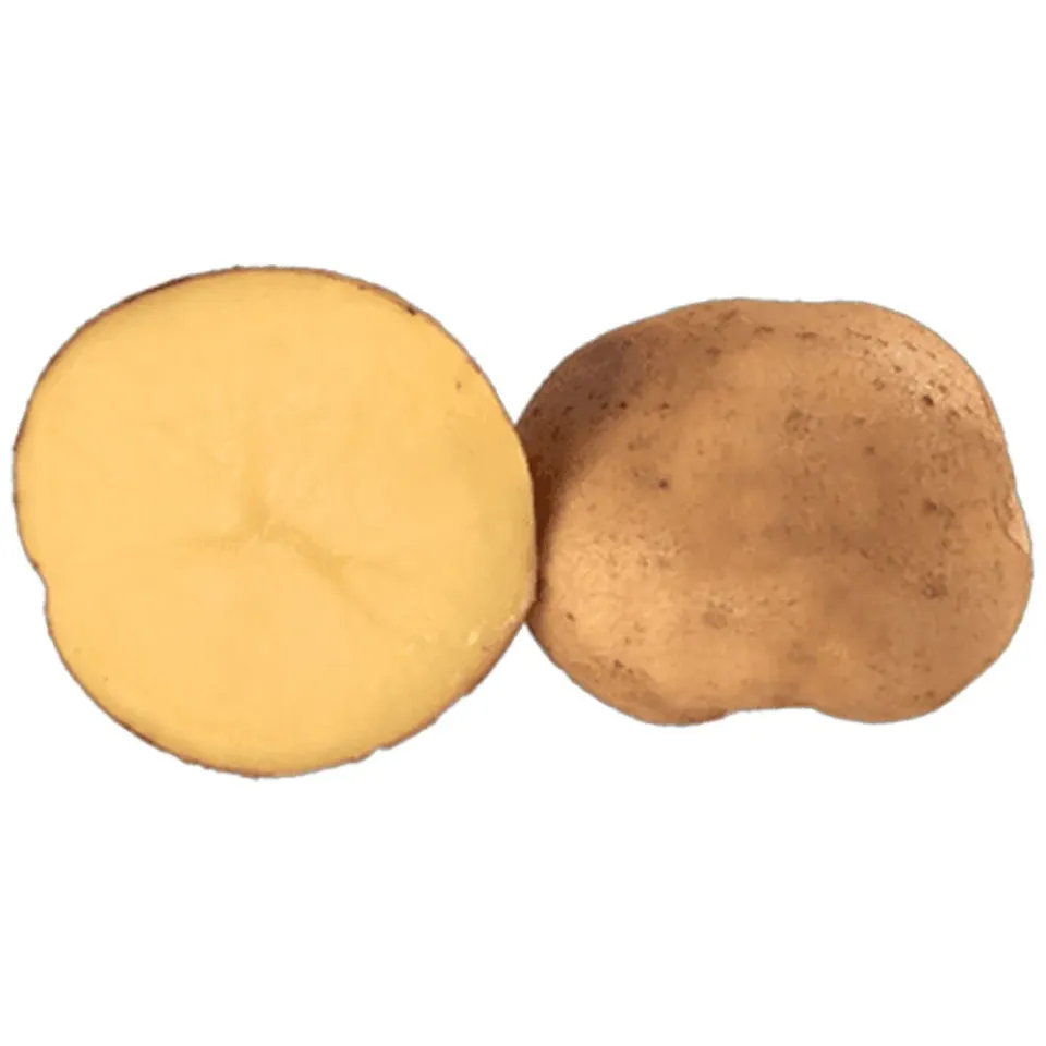 Bettina patate da semina 25kg pasta gialla precoce