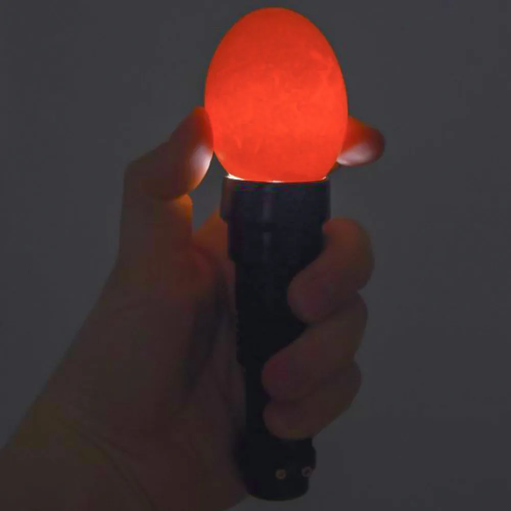 Beikircher Grünland sperauova LED nero con 2 adattatori