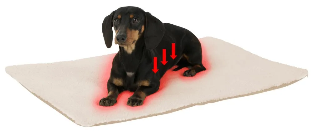 Beikircher Theo Cuscino Termico Cani Gatti 75x50 Beige