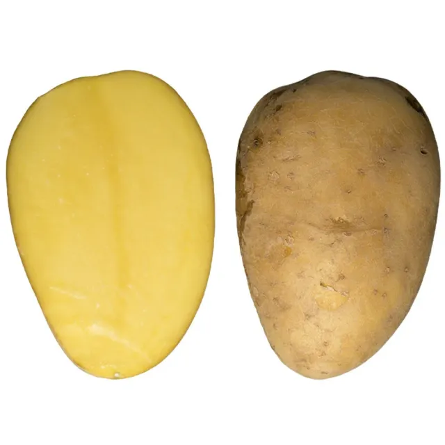 Solo Patate da Seme Bio Gialle Precoci 25kg