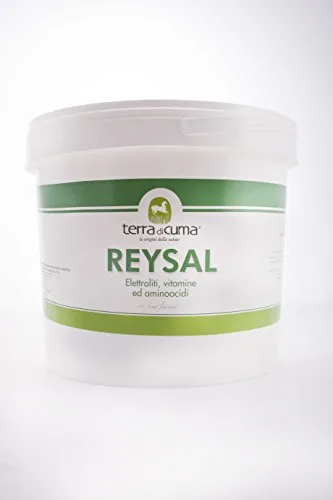 Terra di Cuma Reysal Mix Elettroliti Integratore 3 kg Sportivi