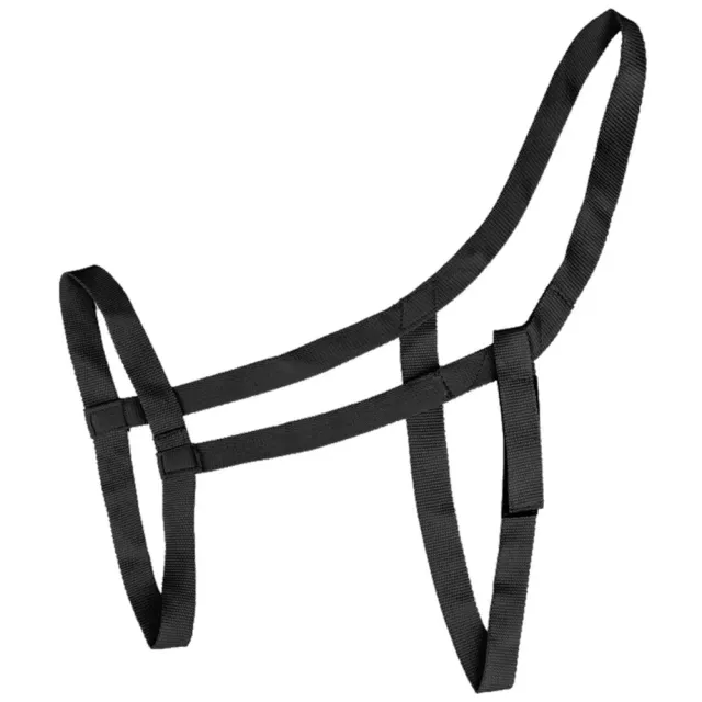 Capezza pascolo cavallo sicurezza strappo velcro