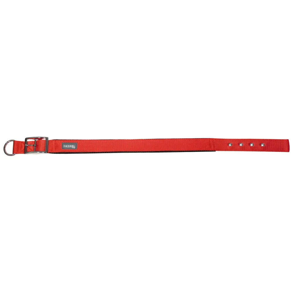 Beikircher Grünland Miami Plus collare cane petrol 33-39 cm