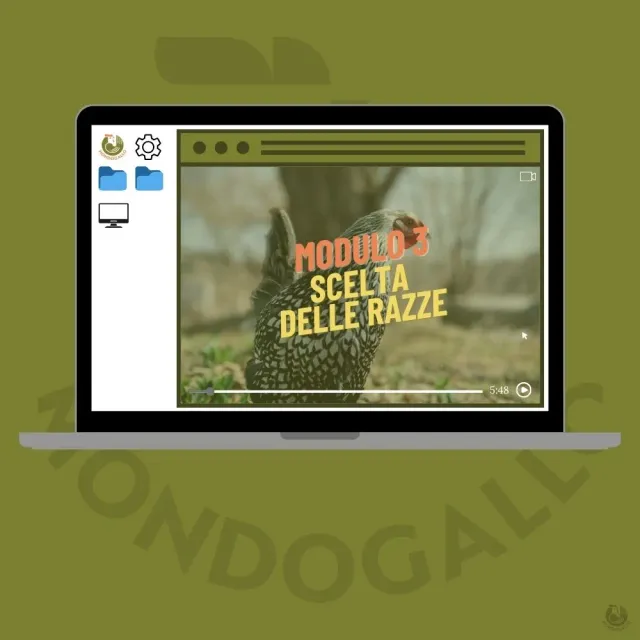 Il Verde Mondo Modulo 3 video corso scelta razze pollaio