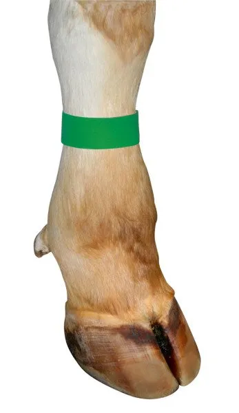 Beikircher Grünland nastro segnalazione velcro giallo 36 cm per mucche