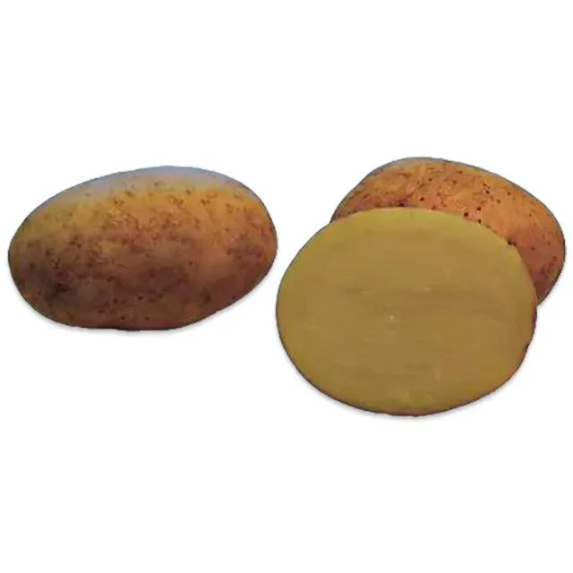 Mozart patate da semina 25kg buccia rossa pasta gialla