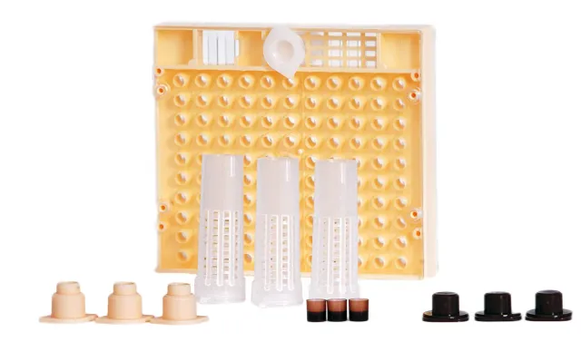 Nicot Cupularve kit allevamento regine api completo cupolini