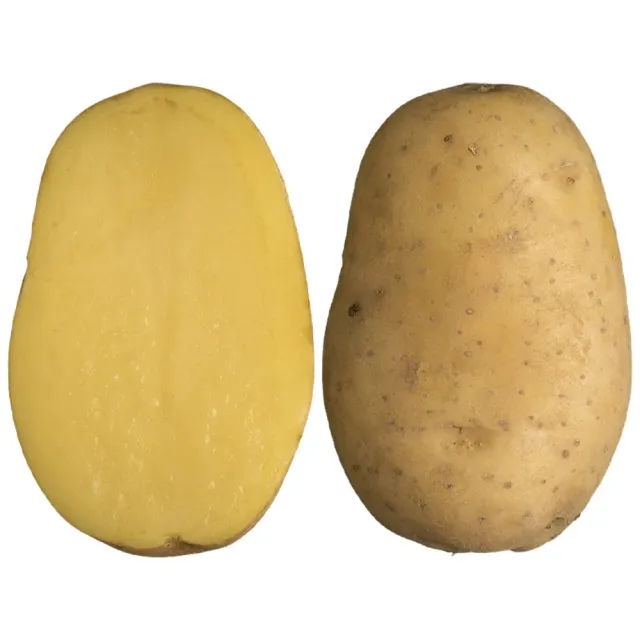 Sissi Patate da Semina Pasta Gialla Precoce Sacco 25kg