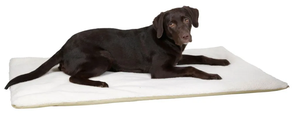 Beikircher Theo Cuscino Termico Cani Gatti 75x50 Beige