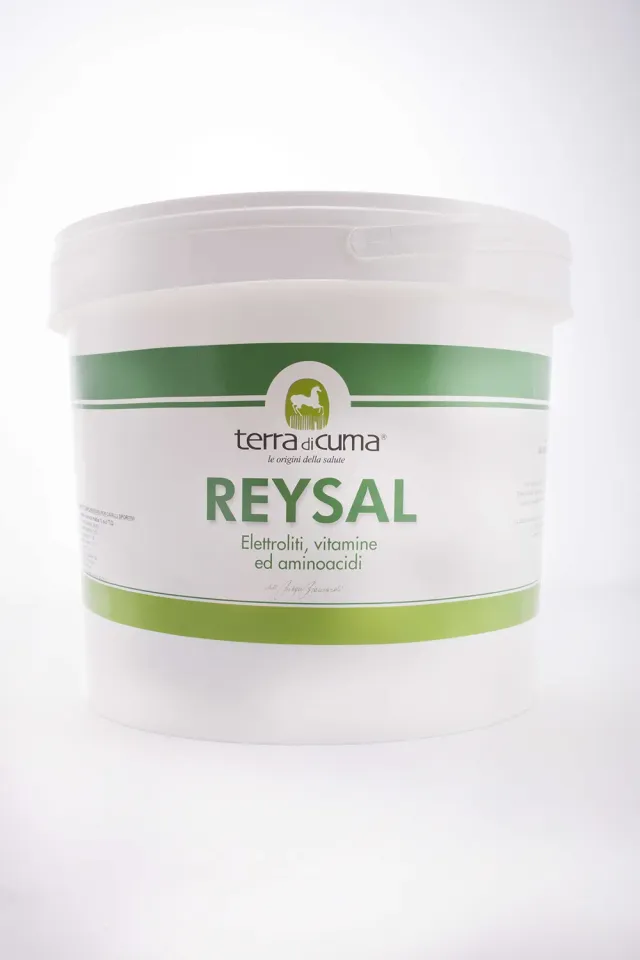 Terra di Cuma Reysal Mix Elettroliti Integratore 3 kg Sportivi