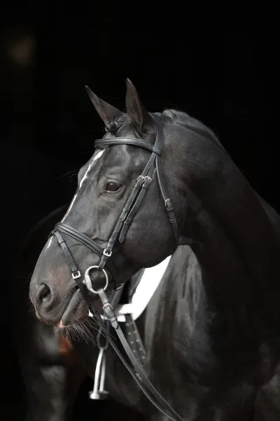 Beikircher Grünland Briglia Inglese Snaffle nera Shetty con redini