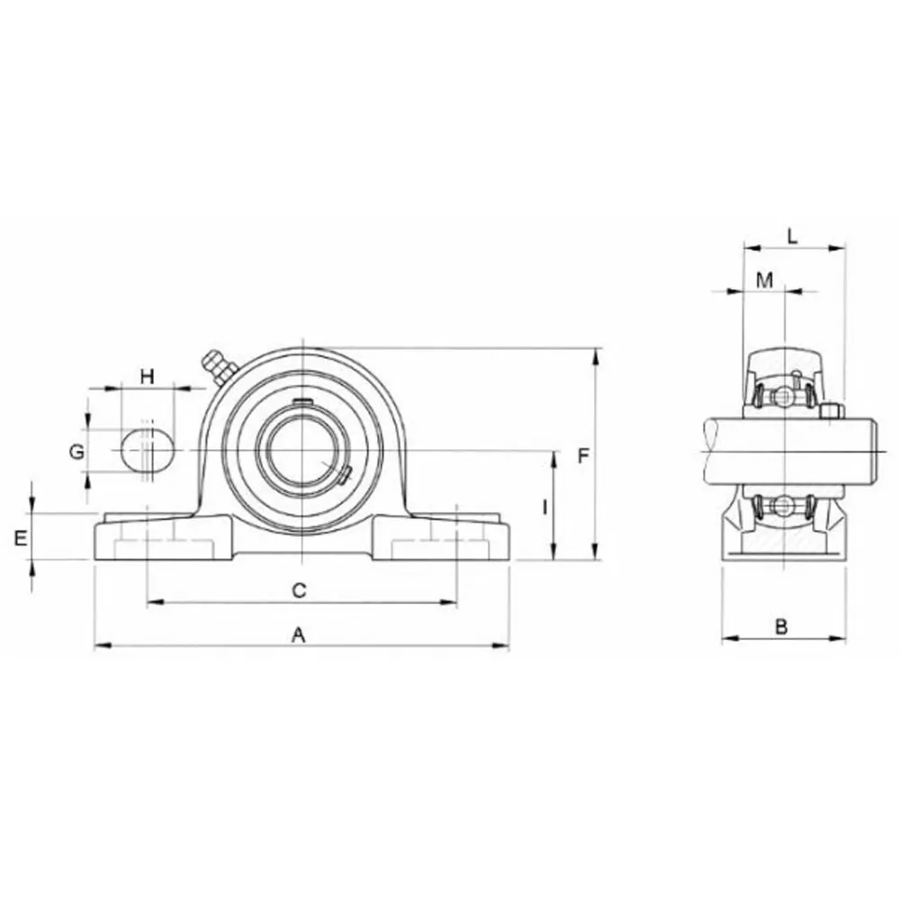 Beikircher Grünland UCP 212 supporto cuscinetto albero 60 mm