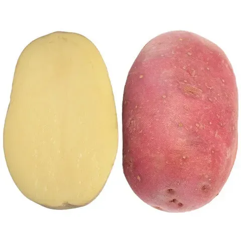Desiree Patata da Seme Rossa 10 kg per Orto e Campo