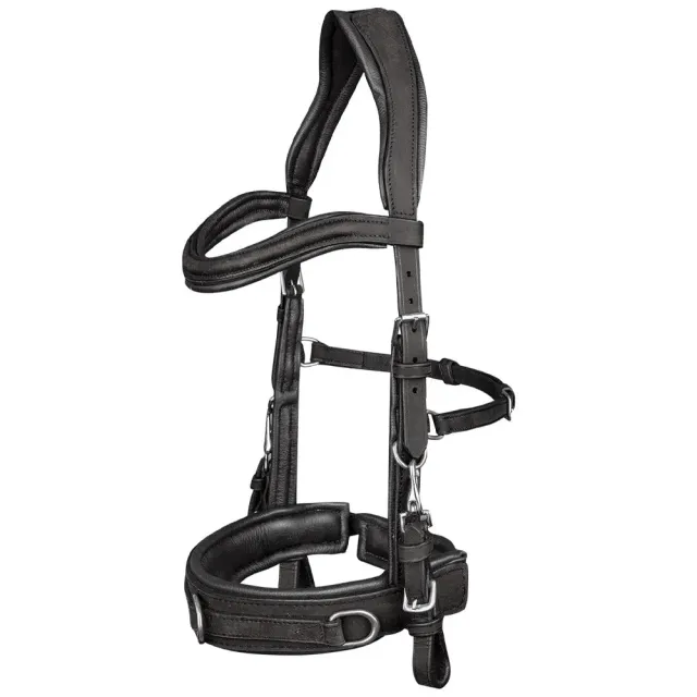 Beikircher Grünland capezza anatomica cuoio imbottita