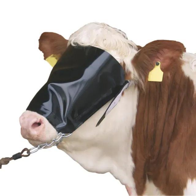 Beikircher Grünland Maschera Copriocchi Bovini con Capezza e Catena