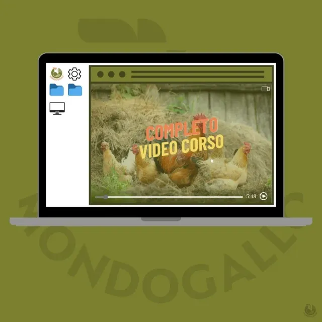 Il Verde Mondo Avicoltura video corso completo galline ovaiole