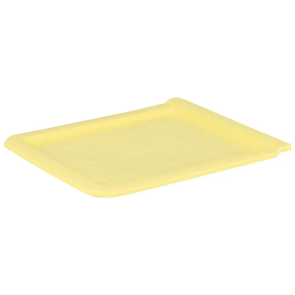 Mini Plus fondo plastica giallo arnia 237x203 mm