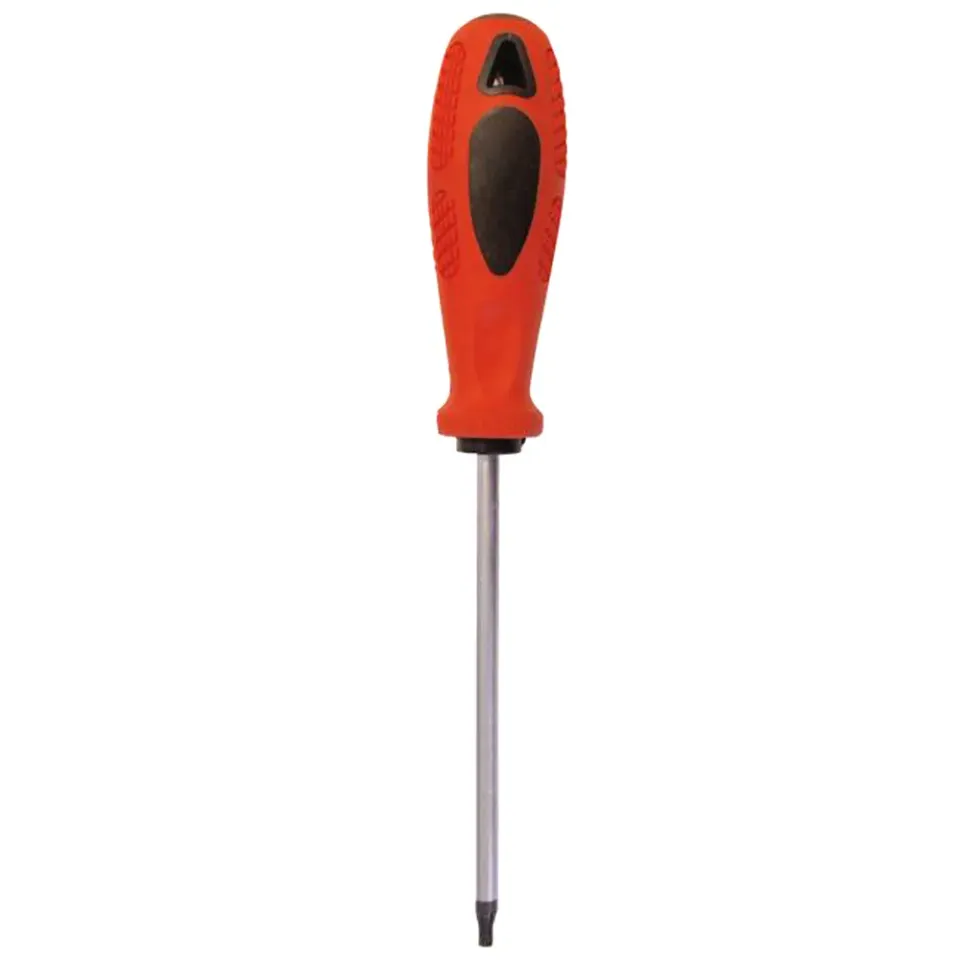 Beikircher Grünland Cacciavite Torx TX20 per Placche Magnetico
