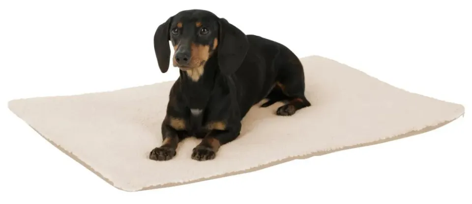Beikircher Theo Cuscino Termico Cani Gatti 75x50 Beige