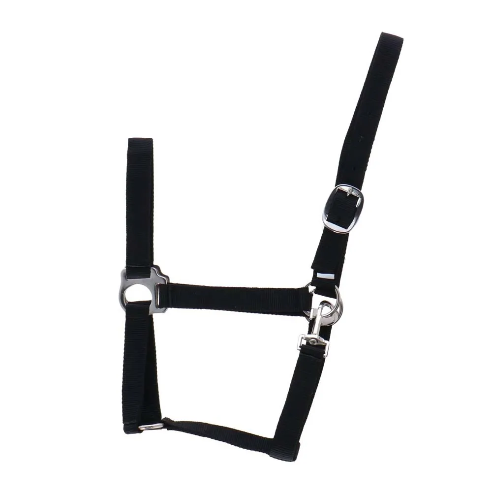 Beikircher Classic Cavezza Cavallo Nylon Doppia Treccia